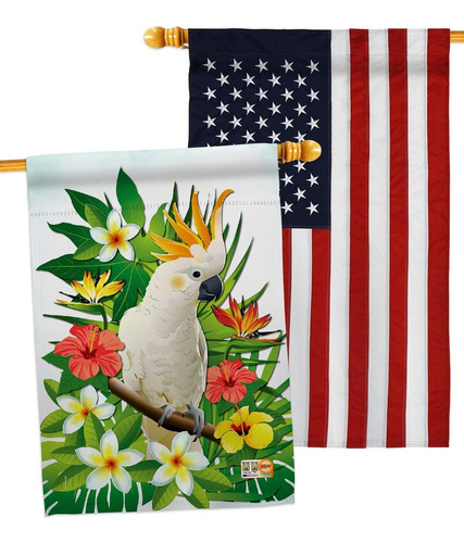 Bandera De La Casa De Cacatúa Tropical ' Paquete De Conchas 