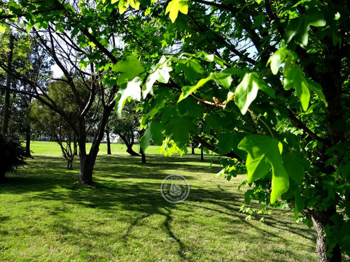 Las Martinas - Cabaña Doble En Colonia