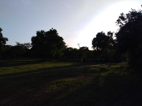 Imagen 8 de 25 de Finca En Venta Villanueva Bolivar