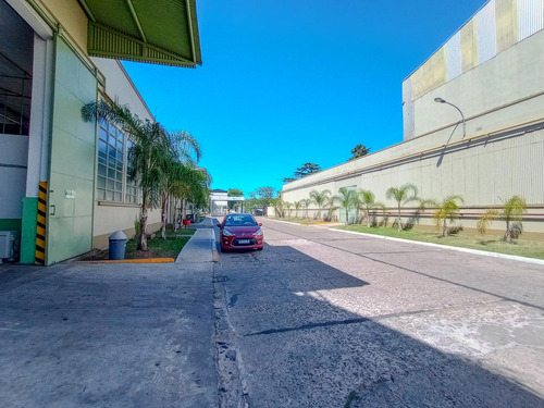 Excelente Depósito De 774 M2 En Alquiler En Predio Cerrado, Villa Adelina.