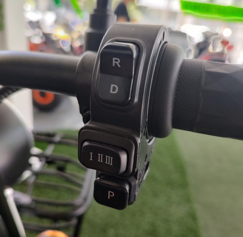 Imagen 10 de 19 de Triciclo Electrico Absolute Gt 500w 48v Bateria De Gel Golf
