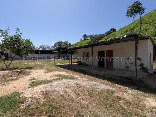 Carlos Colmenarez Vende Finca 28hec (todas Empastadas) Cercas Perimetrales 02 Cochineras; 01 Cochinera Para 150 Madres Y Capacidad De 800 Animales De Engorde 01 Cochinera Con Capacidad De 400 Animale