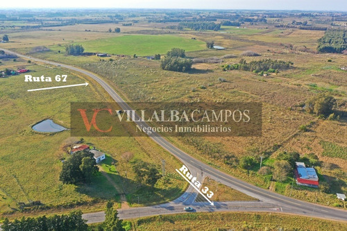 Imagen 2 de 4 de Villalba Campos Vende 5 Has Sobre Ruta 67