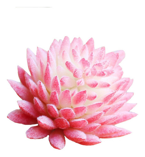 6pcs Simular Plantas Suculentas Realistas Adornos De Escrito