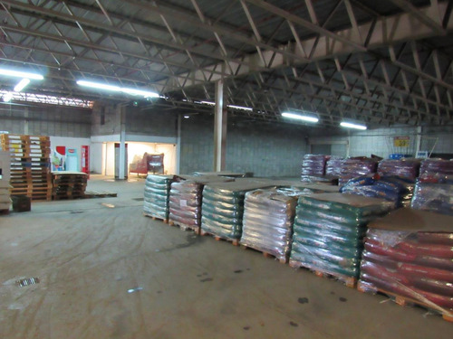 Imagen 16 de 17 de Alquiler Deposito Planta Predio Carrefour.mar Del Plata.