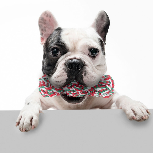 Juguete Jaladera Trenza Cuerda Para Mascar Mascota Perros
