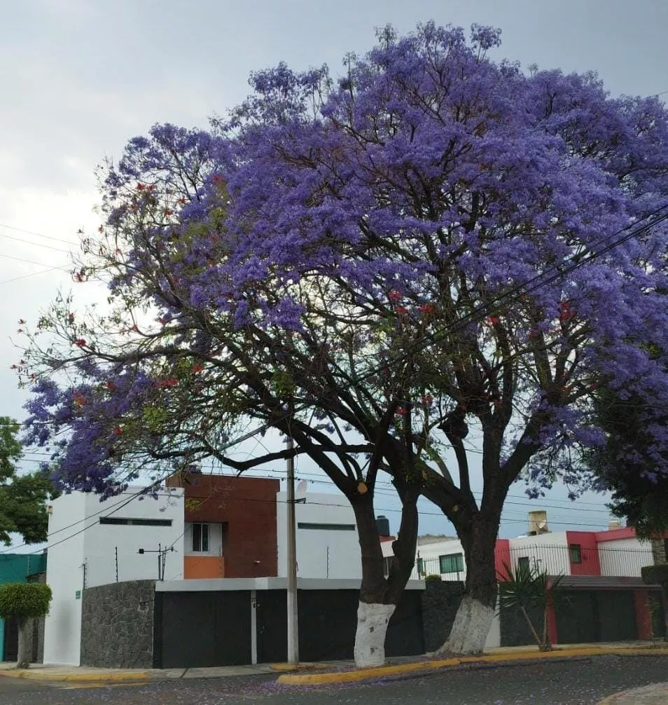 Amplia Casa En Esquina