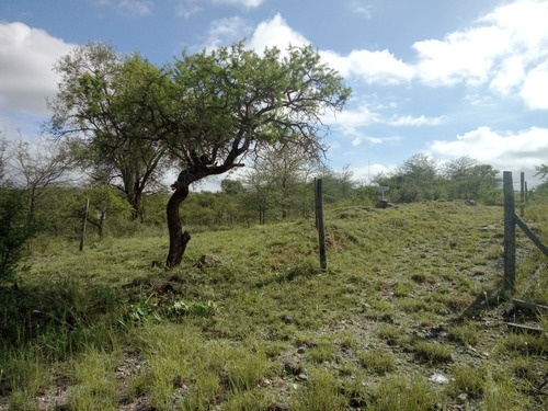 Vendo Terreno En Santa Rosa De Calamuchita Zona Nahuascat