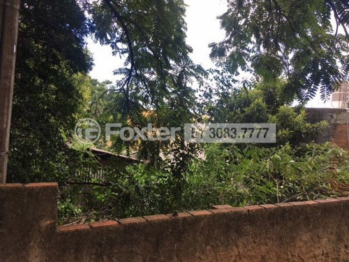 Imagem 8 de 8 de Terreno, 550 M², Vila Ipiranga - 205028