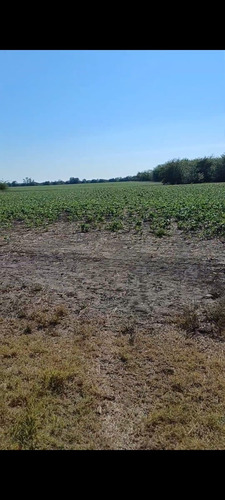 Campo 27 Hectareas Rosario Del Tala Soja Trigo Sorgo