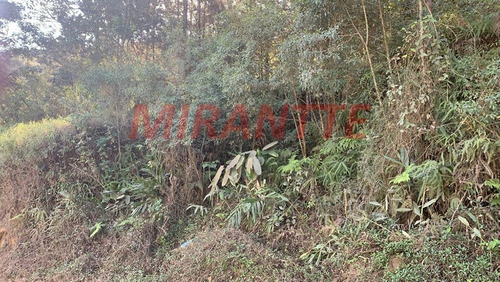Imagem 3 de 4 de Terreno Em Caceia - Mairiporã, Sp - 345029