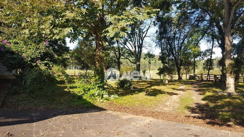 Imagem 17 de 25 de Chácara Com 3 Dormitórios À Venda, 870000 M² Por R$ 7.000.000 - Bairro Imigrantes - Capela De Santana/rs - Ch0085