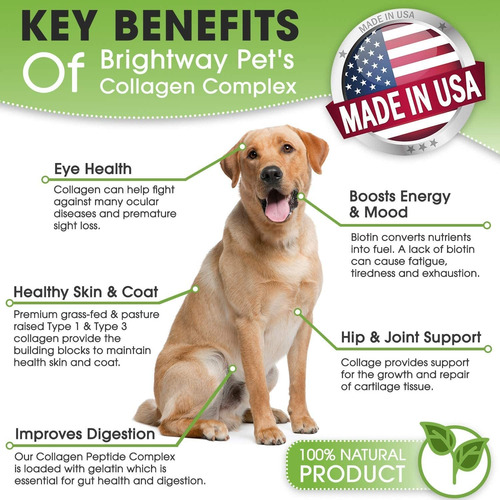K9 Complejo De Colágeno Péptido Con Biotina, Suplemento De C
