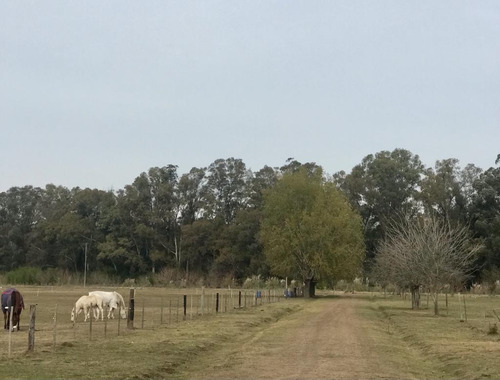 Lote, Terreno De 1125m2. Pre Venta Al Costo!!! Lo Mejor Del Campo Cerca De La Ciudad! Listo Para Escriturar A 500 M De Ruta 3 Kilometro 75 Cañuelas!!