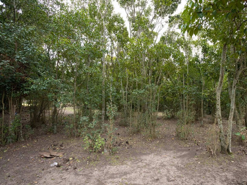 Imagen 10 de 13 de Lote | Mendoza