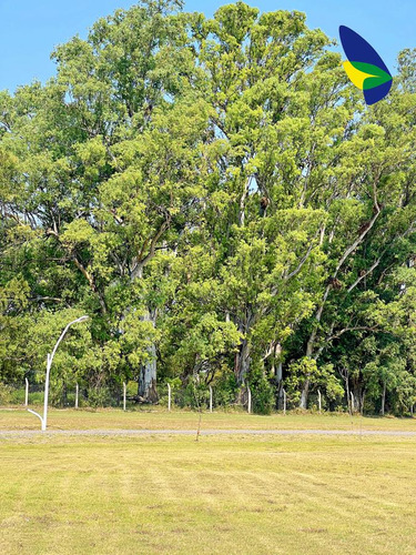 Terreno En Venta Pueblo Esther Barrio Cerrado Brisanova 300 M2 Lote 18 Gas Natural Habilitado