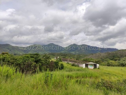Imagen 7 de 20 de Finca Avicola En Venta Bejuma Carabobo