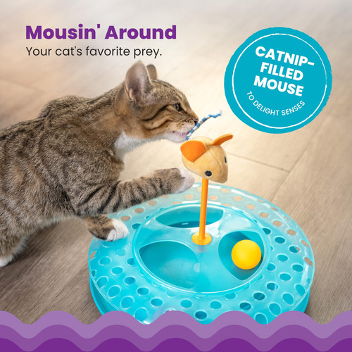 Catstages Cheese Chase Catnip Juguete Interactivo Con Pista