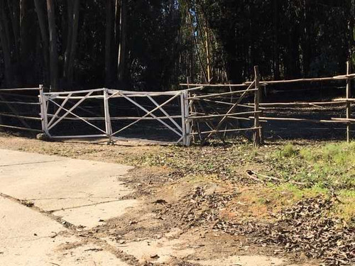 Se Vende Sitio Mixto, Sector Ruta 60 La Polvo (73450)
