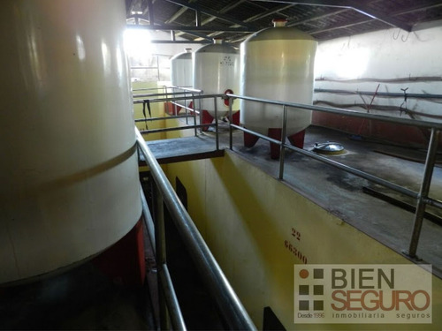 Chacra De 11 Hás, Con Bodega Y Viñedos, En Venta Próximo A Toledo