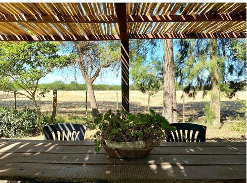 Imagen 19 de 25 de Casa Quinta/campo Alquiler Temporal. Zona Norte A Solo 10 Minutos De Pilar Se Encuentra La Libertad , Ideal Para Pasar Unos Días De Campo Rodeado De Naturaleza.