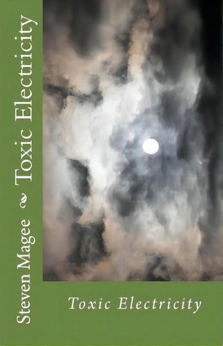 Toxic Electricity, De Steven Magee. Editorial Createspace Independent Publishing Platform, Tapa Blanda En Inglés