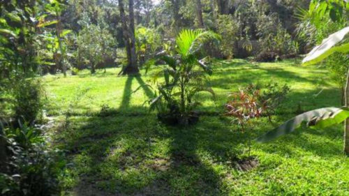 Imagem 7 de 14 de Vendo Bonita Chácara Com Rio Em Itanhaém Litoral Sul De Sp