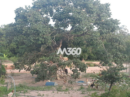 Imagem 16 de 25 de Chácara Com 6 Dormitórios À Venda, 145200 M² Por R$ 800.000,00 - Zona Rural - Urutaí/go - Ch0012