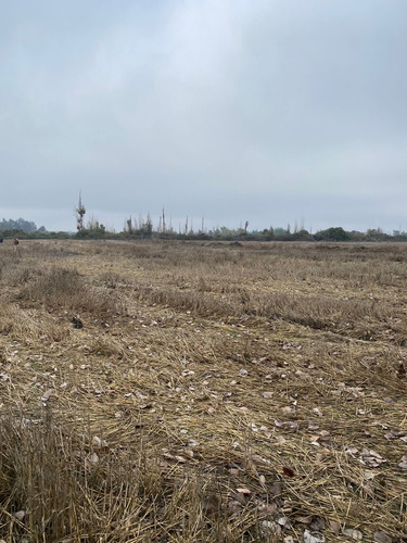 Linares / Camino Pavimavida