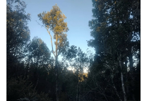 Sitio En Venta En Puerto Montt
