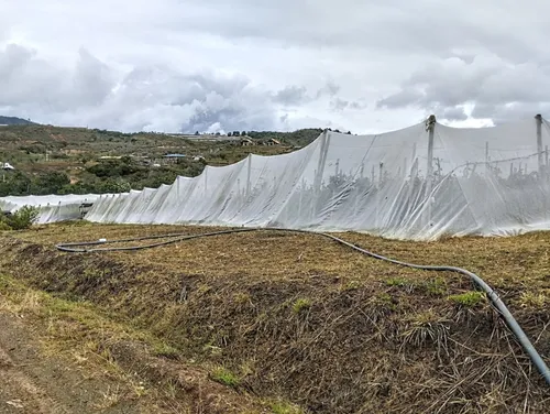 Restrepo, 11 Plazas, Terreno Agricola