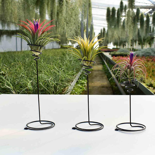 / Contenedores De Tillandsia, Estantes Para Macetas, Soporte