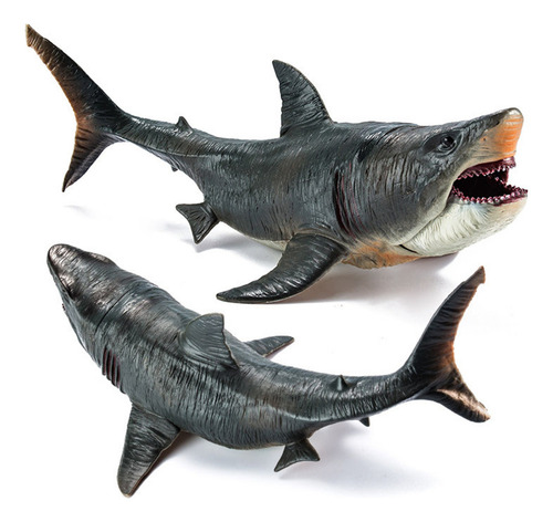 Juguete De Megalodón Oceánico Realista De Figure Scientific