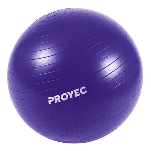 Pelota Yoga Esferodinamia Suiza 75 Cm Gym Ball Importada Fitball Pilates Gimnasia Funcional