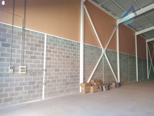 Imagen 13 de 16 de Industrial 1.779 Mt2 En Arriendo En Cerrillos