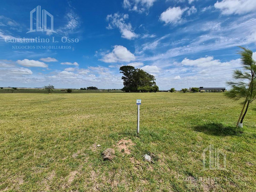 Imagen 5 de 11 de Oportunidad - Lote Muy Bien Ubicado - El Mirador - Samborombon