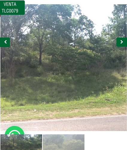 Imagen 6 de 6 de Venta De Hectáreas En Villa General Belgrano - Tlc0079