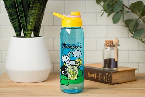 Botella De Agua Silver Buffalo Sanrio Hello Kitty And Friend