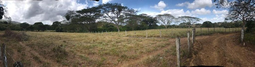 Imagen 9 de 16 de Finca En Falcon En Venta.lf