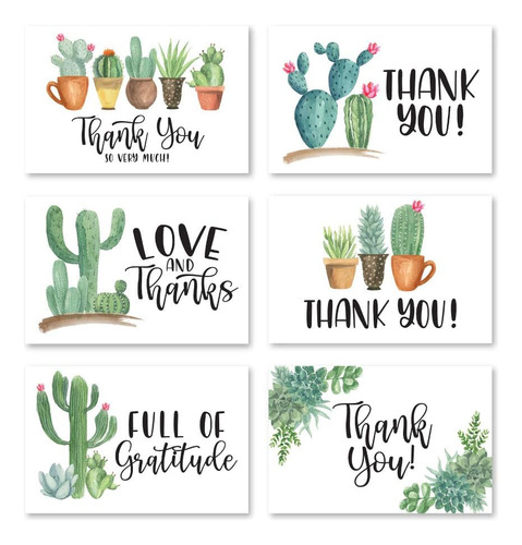 24 Tarjetas De Agradecimiento De Cactus Suculentas Con Sobre