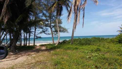 Venta Lotes 600 M² Playa De Barra Galindo Tamiahua Veracruz