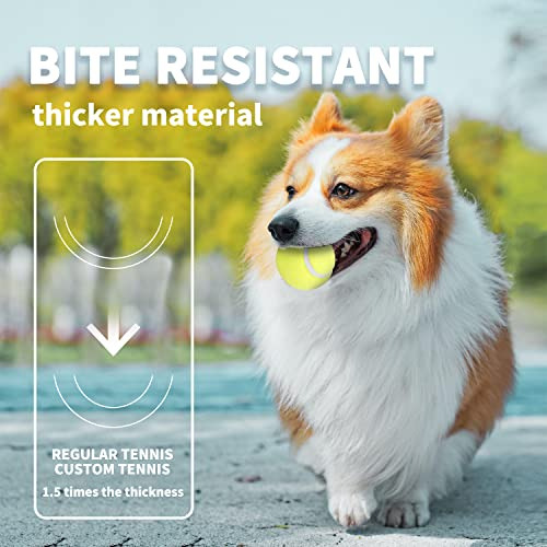 Lanzador Automático De Pelotas Para Perros