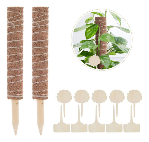 Postes Palos Plantas En Macetas Soportes De Estaca Coco 50cm