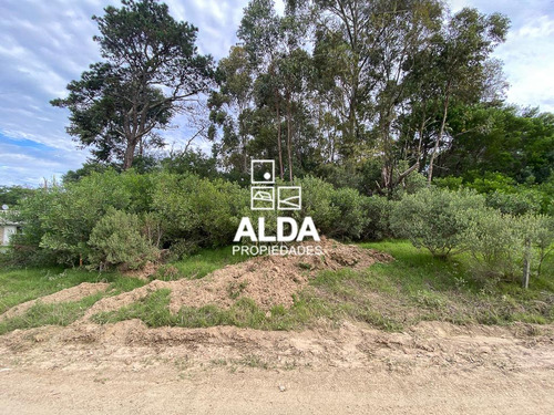 Terreno Punta Colorada Piriápolis Venta Te501111