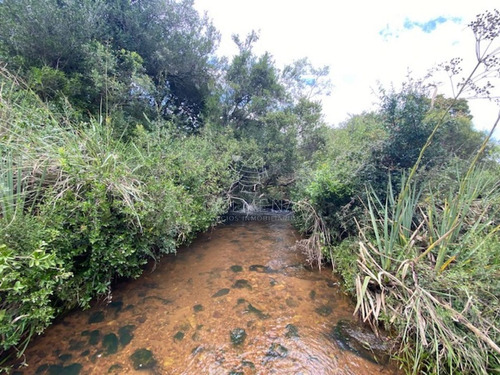Imagen 13 de 30 de 7 Chacras De 5 Has Cada Una A 20 Km De Aigua Por Ruta 39 - Consulte !!!!!