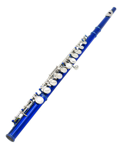 Flauta De Concierto Occidental Cuproníquel Plateado 16 Aguje