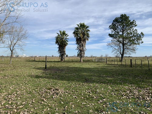 Excelente Campo Agricola De 62,73 Has.