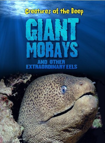 Giant Morays And Other Extraordinary Eels (creatures Of The 