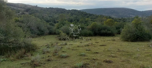 Campo En Carape Son 42 Hs 2293 M2