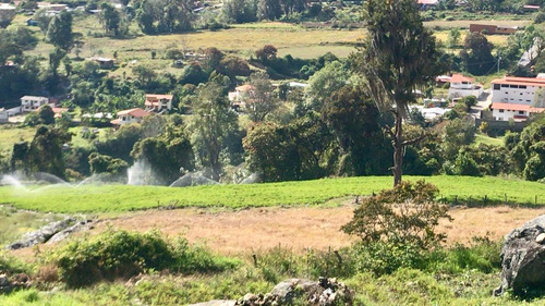 Bella Finca En El Valle